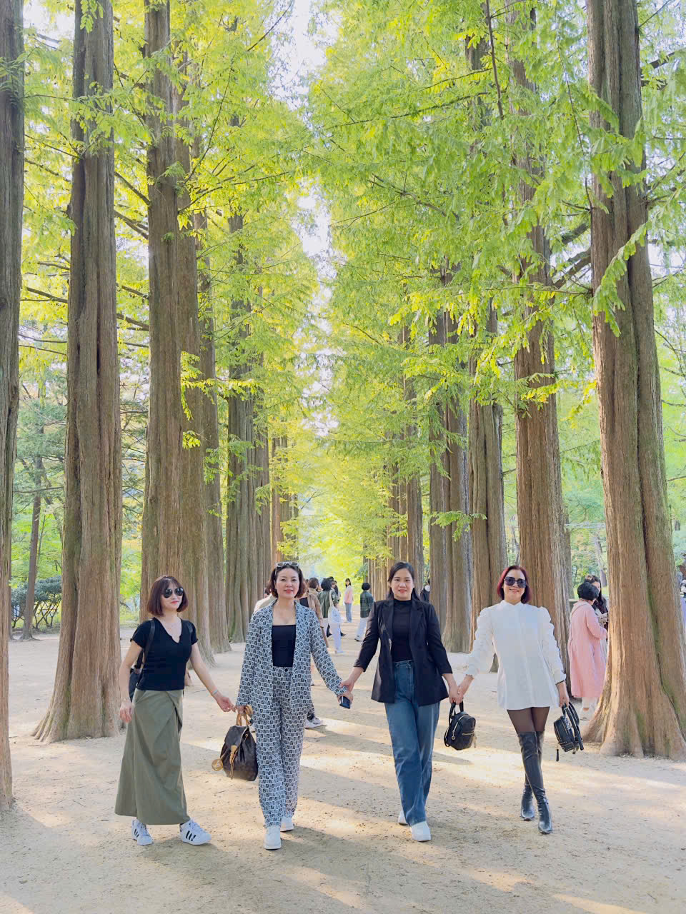 z6858791938988_cd1867e23886fa5e341288e5caeeb78d